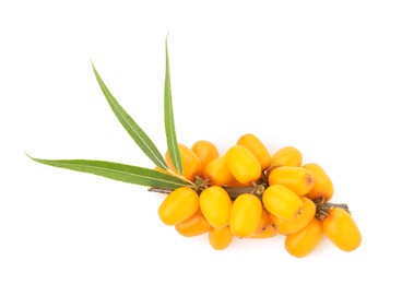 Photo of Fresh sea buckthorn berries with green leaves isolated on white