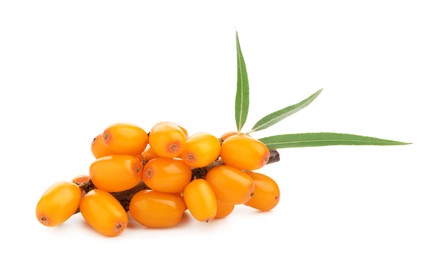 Photo of Fresh sea buckthorn berries with green leaves isolated on white