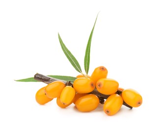 Photo of Fresh sea buckthorn berries with green leaves isolated on white