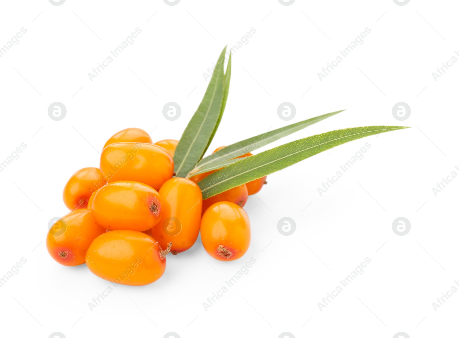 Photo of Fresh sea buckthorn berries and green leaves isolated on white