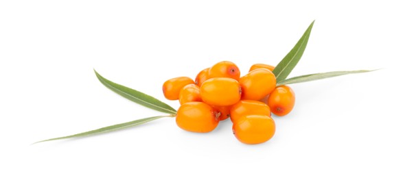Photo of Fresh sea buckthorn berries and green leaves isolated on white