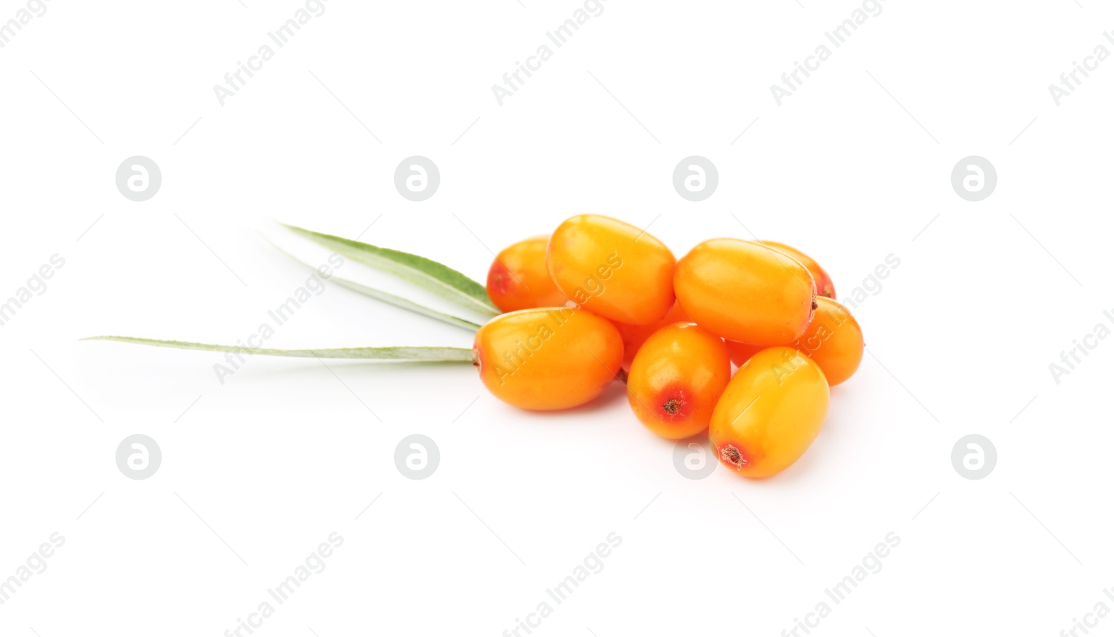 Photo of Fresh sea buckthorn berries and green leaves isolated on white