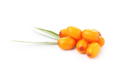 Photo of Fresh sea buckthorn berries and green leaves isolated on white