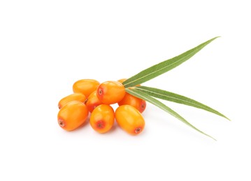 Photo of Fresh sea buckthorn berries and green leaves isolated on white