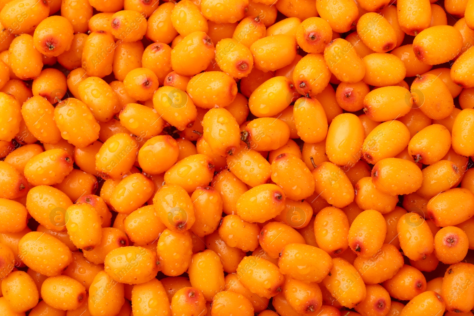 Photo of Fresh sea buckthorn berries as background, top view