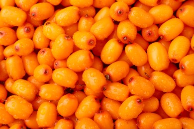 Photo of Fresh sea buckthorn berries as background, top view