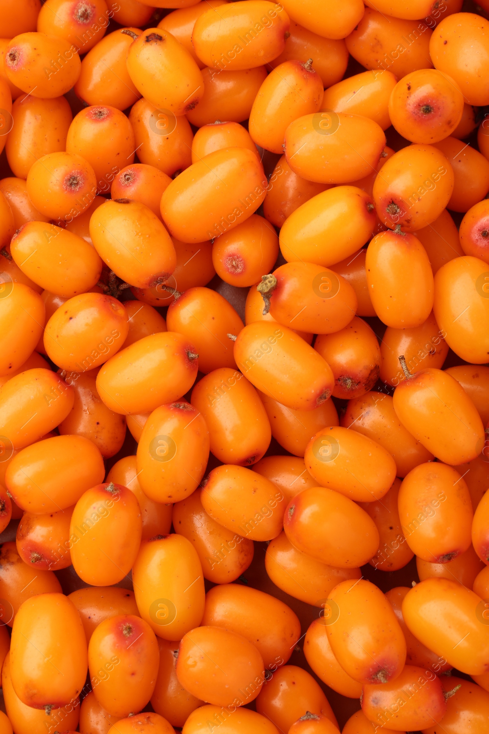Photo of Fresh sea buckthorn berries as background, top view