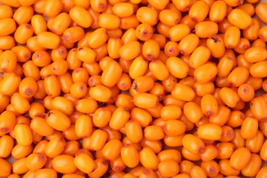 Photo of Fresh sea buckthorn berries as background, top view