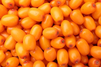 Photo of Fresh sea buckthorn berries as background, top view