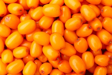 Photo of Fresh sea buckthorn berries as background, top view