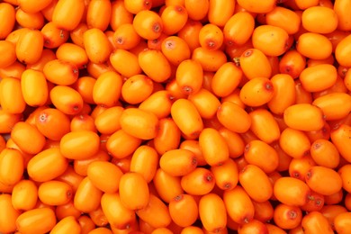 Photo of Fresh sea buckthorn berries as background, top view