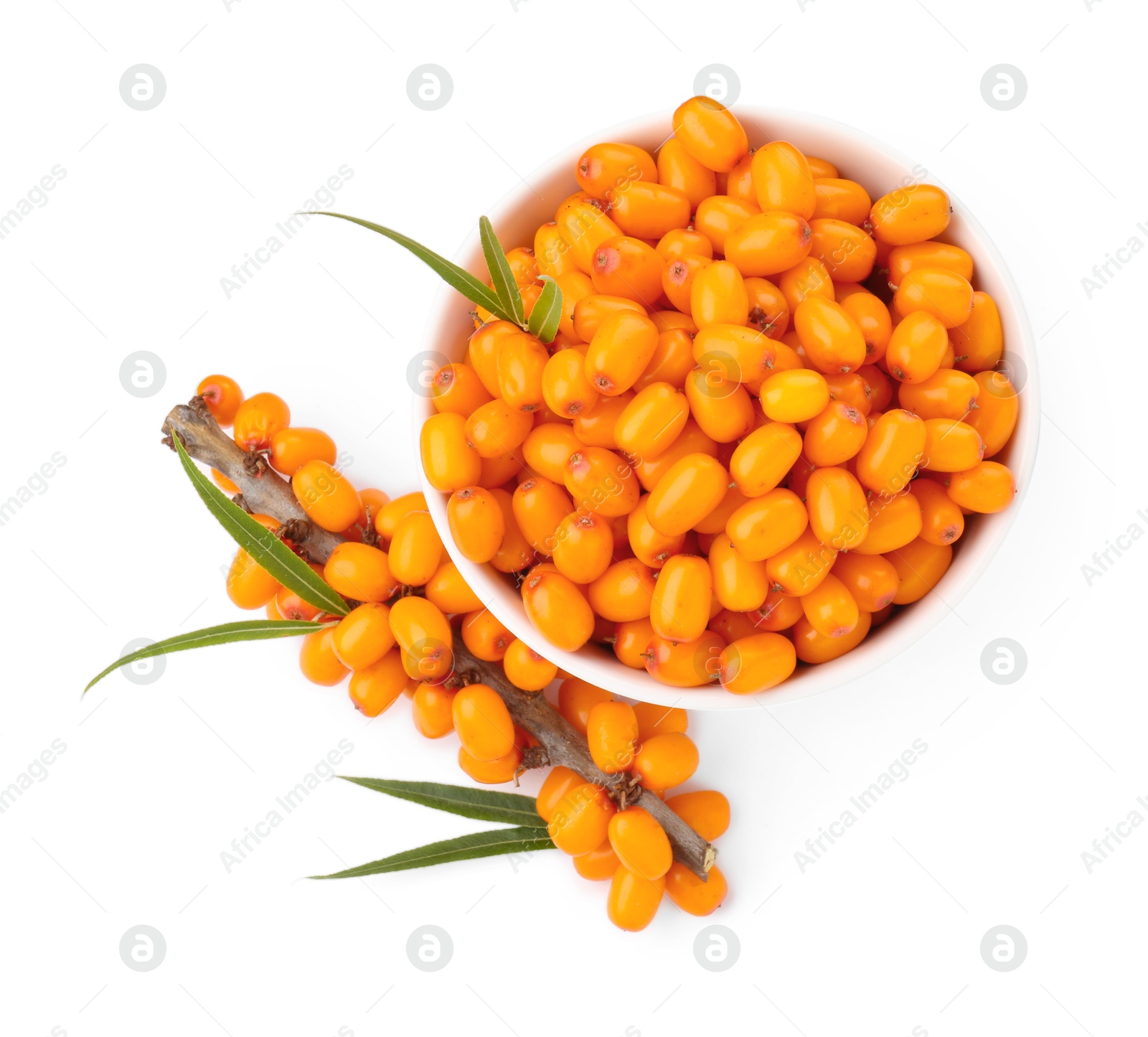 Photo of Fresh sea buckthorn berries with green leaves isolated on white