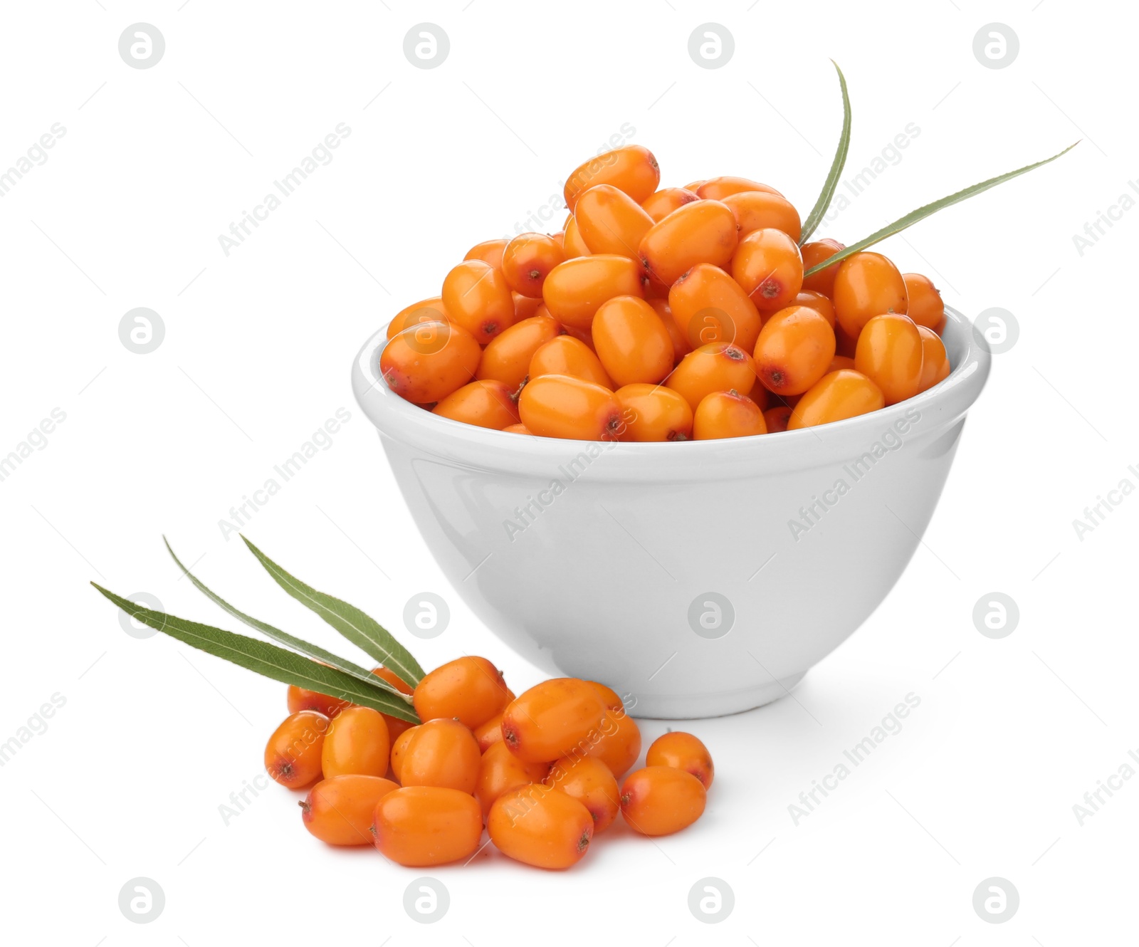 Photo of Fresh sea buckthorn berries with green leaves isolated on white