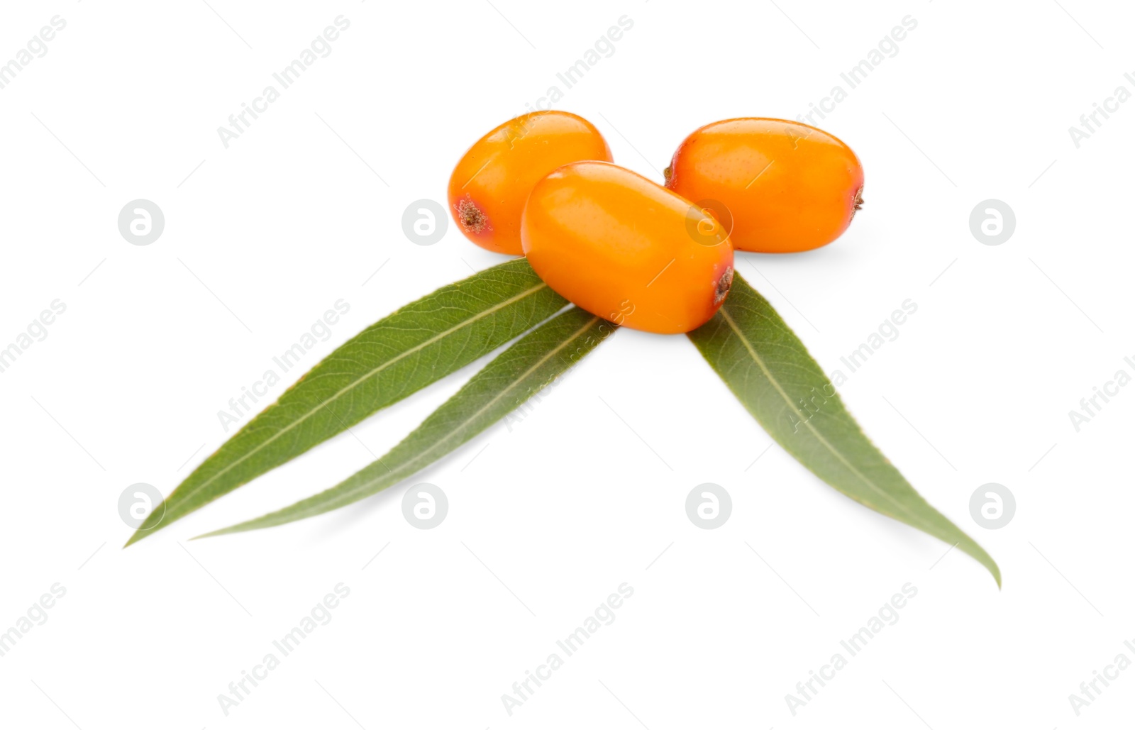 Photo of Fresh sea buckthorn berries and green leaves isolated on white
