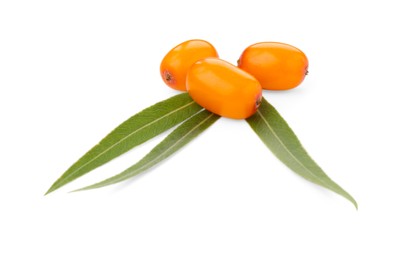 Photo of Fresh sea buckthorn berries and green leaves isolated on white