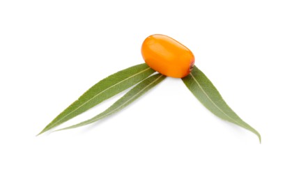 Photo of Fresh sea buckthorn berry and green leaves isolated on white