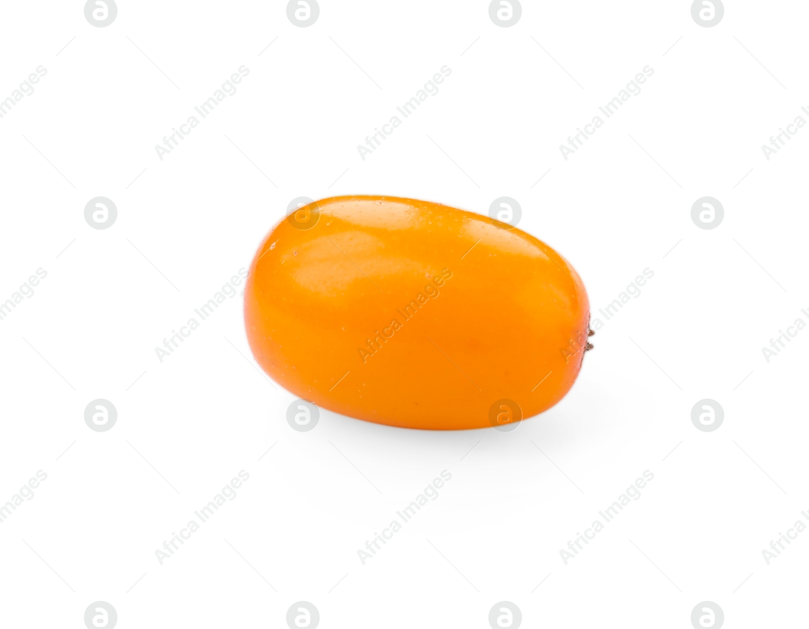 One fresh sea buckthorn berry isolated on white Photo of One fresh sea buckthorn berry isolated on white