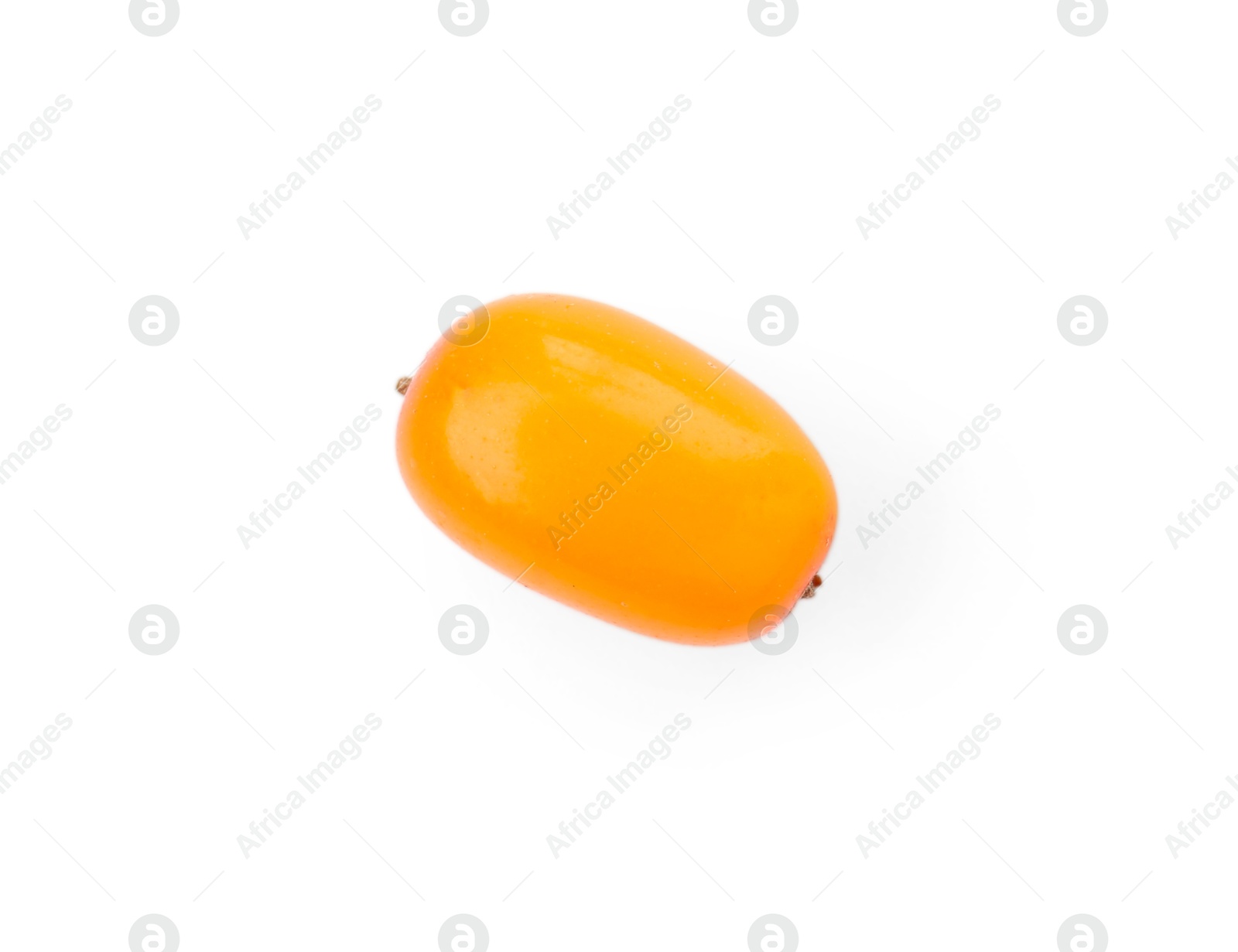 One fresh sea buckthorn berry isolated on white Photo of One fresh sea buckthorn berry isolated on white