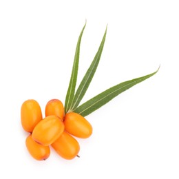 Photo of Fresh sea buckthorn berries and green leaves isolated on white, top view