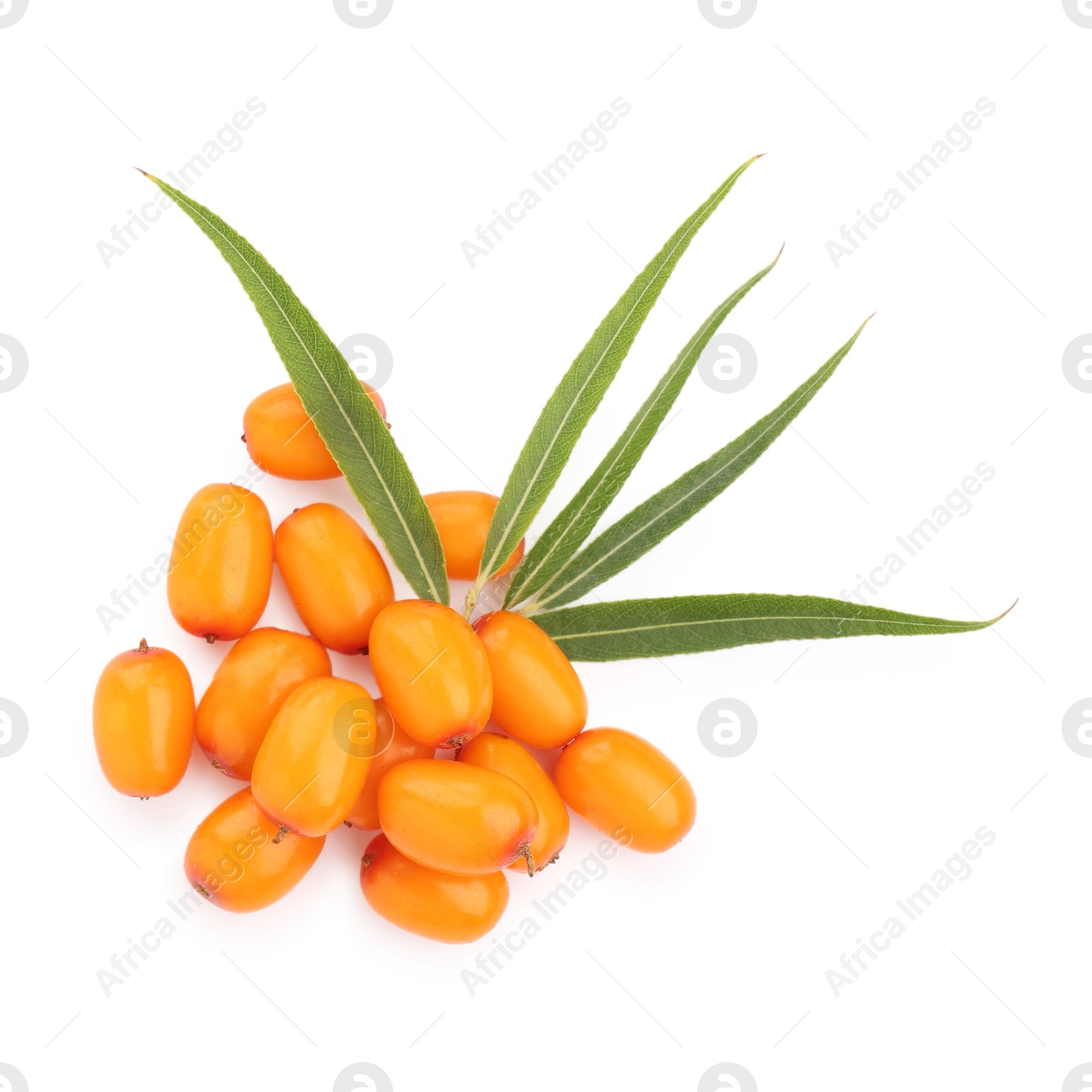 Photo of Fresh sea buckthorn berries and green leaves isolated on white, top view