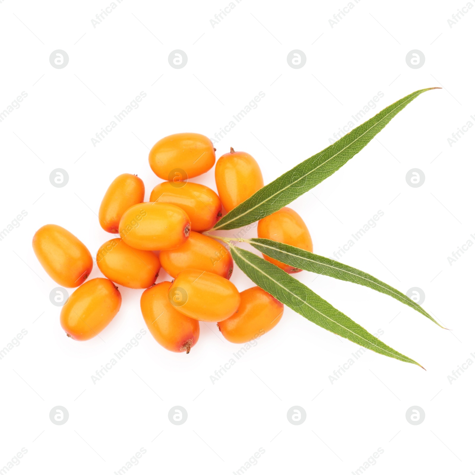 Photo of Fresh sea buckthorn berries and green leaves isolated on white, top view