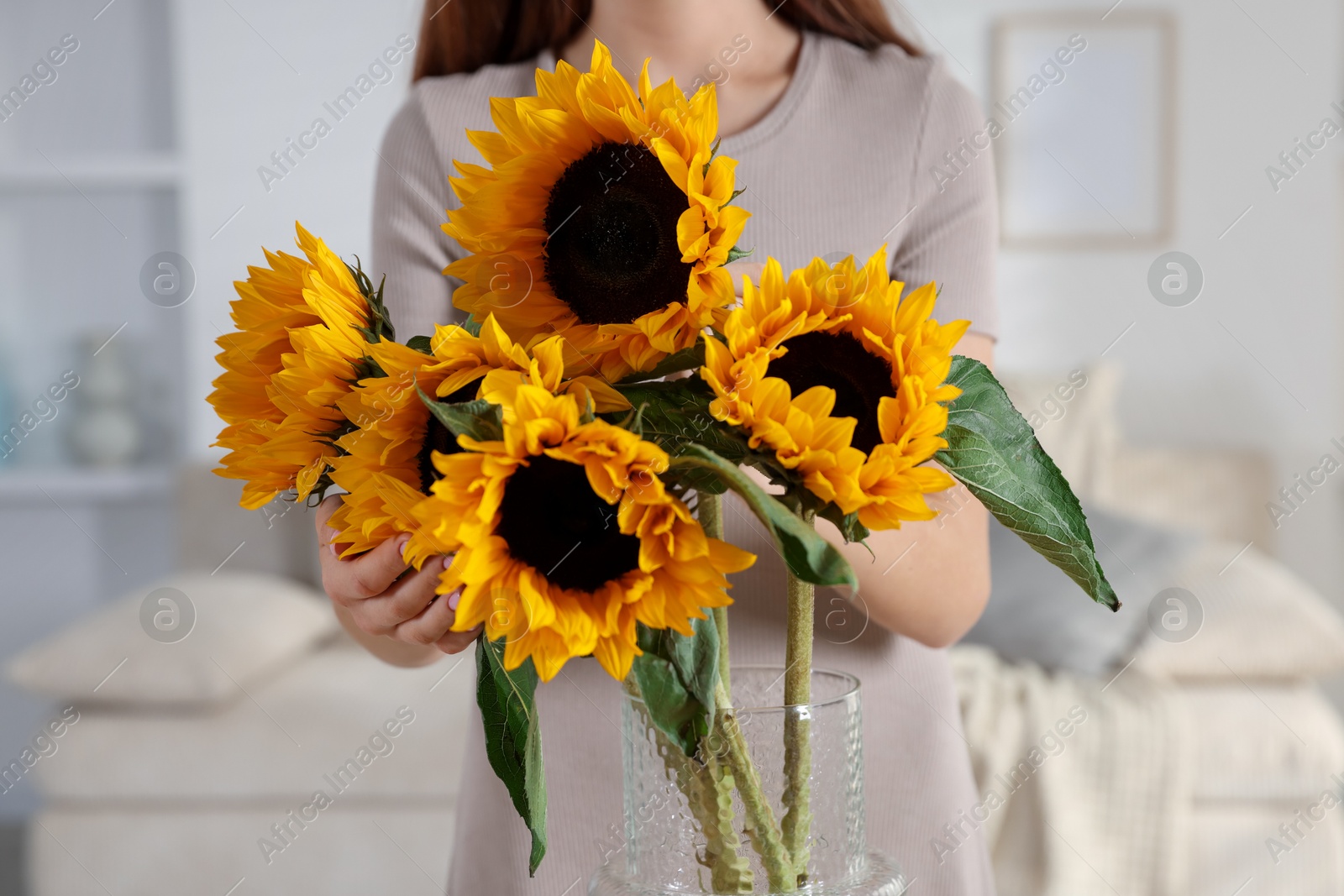 Photo of Teenage girl with beautiful sunflowers at home, closeup
