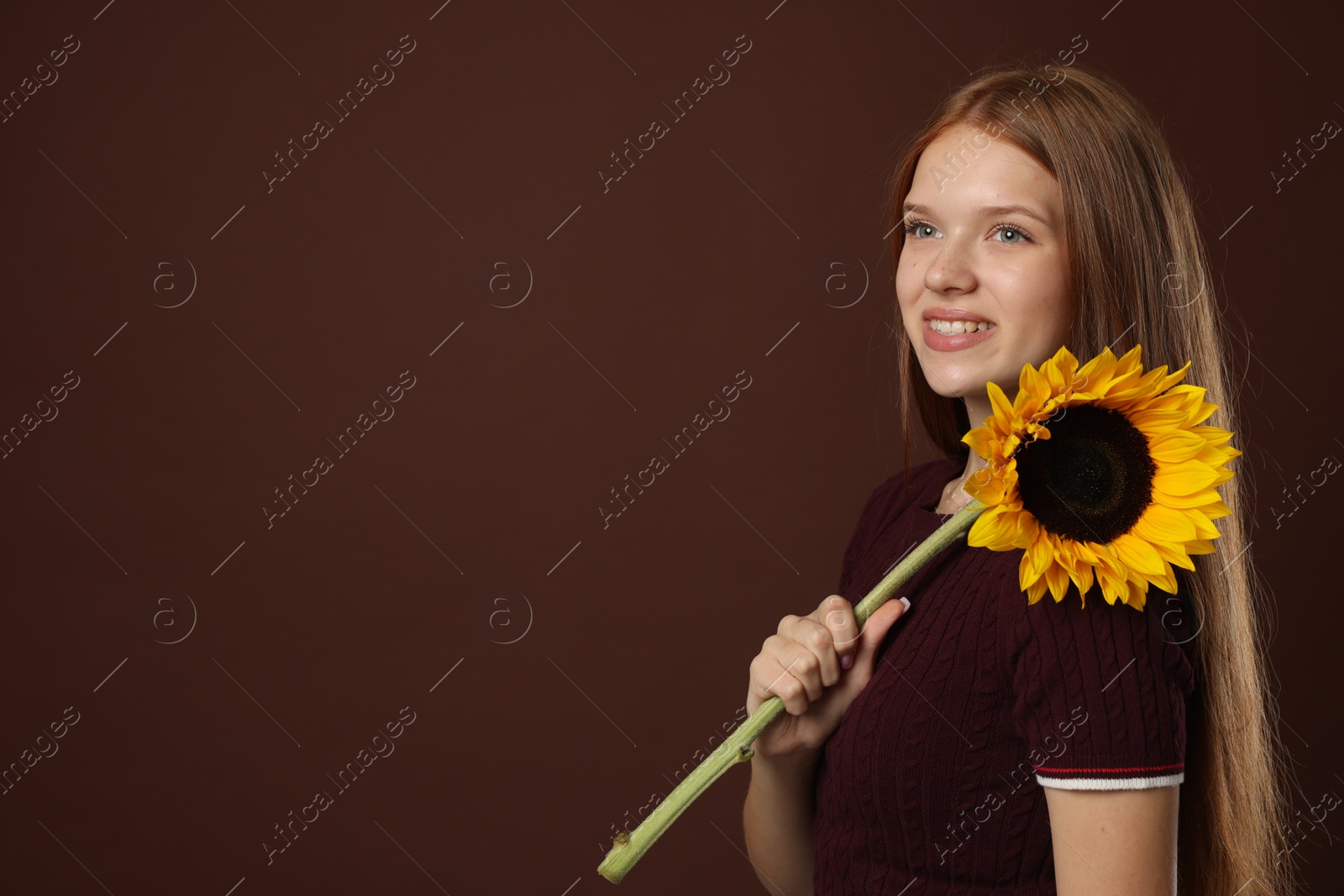 Photo of Teenage girl with beautiful sunflower on brown background, space for text
