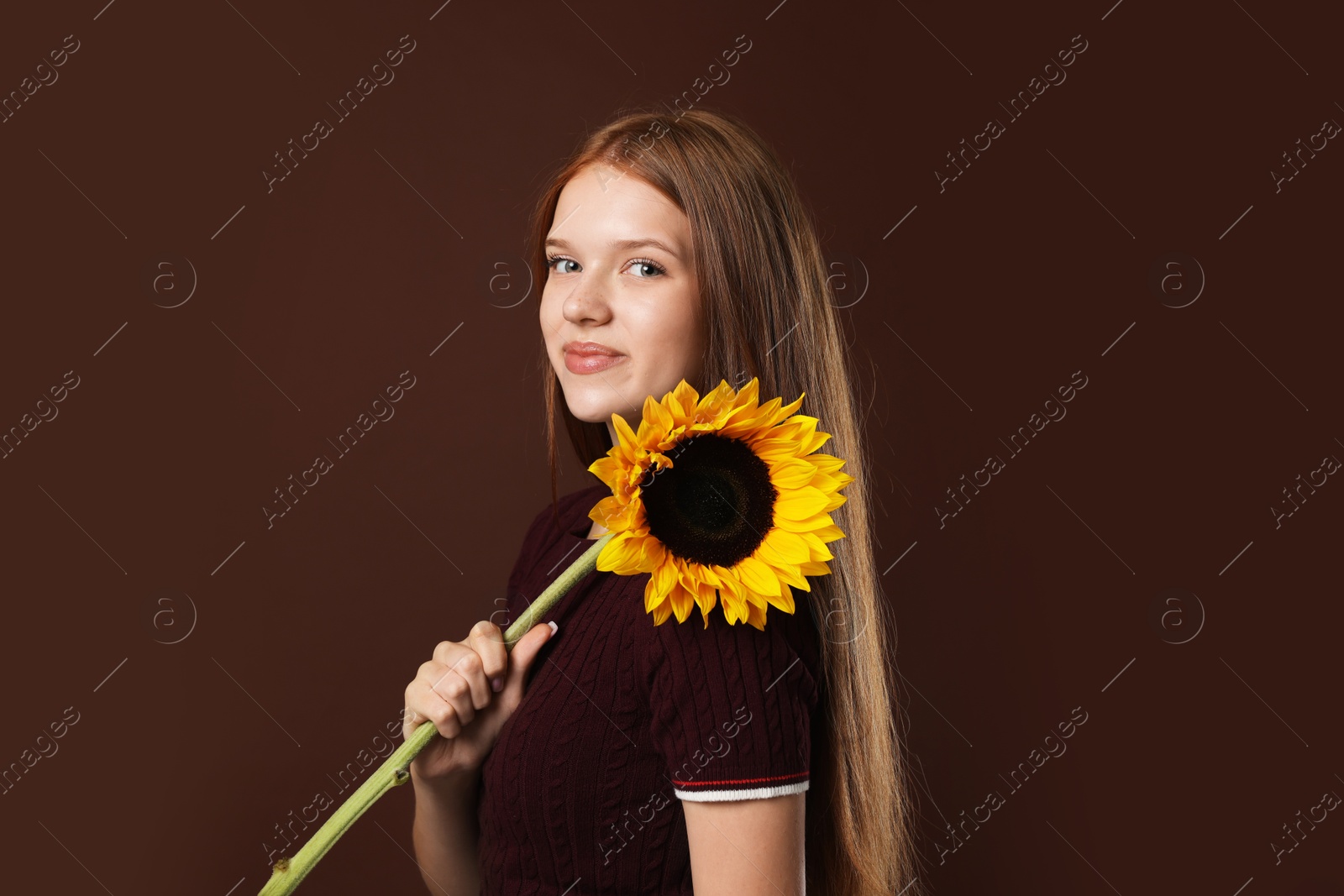 Photo of Teenage girl with beautiful sunflower on brown background