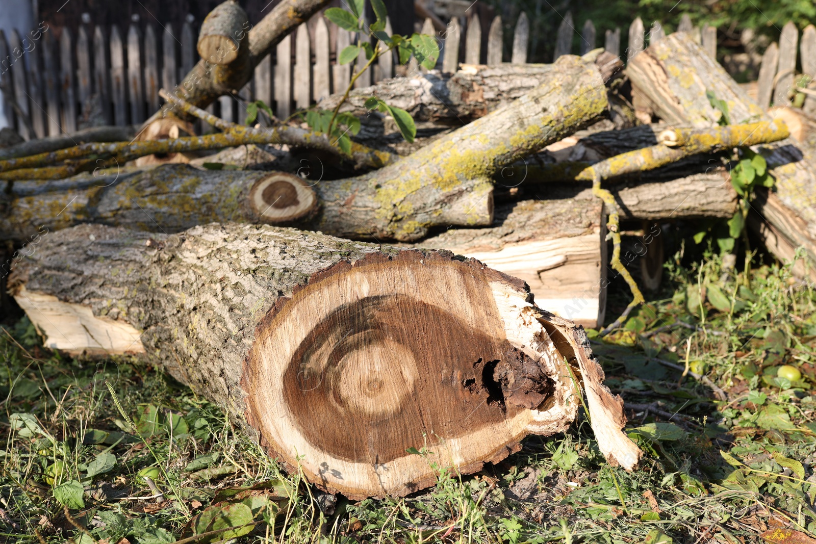 Photo of Pile of cut firewood in yard, closeup