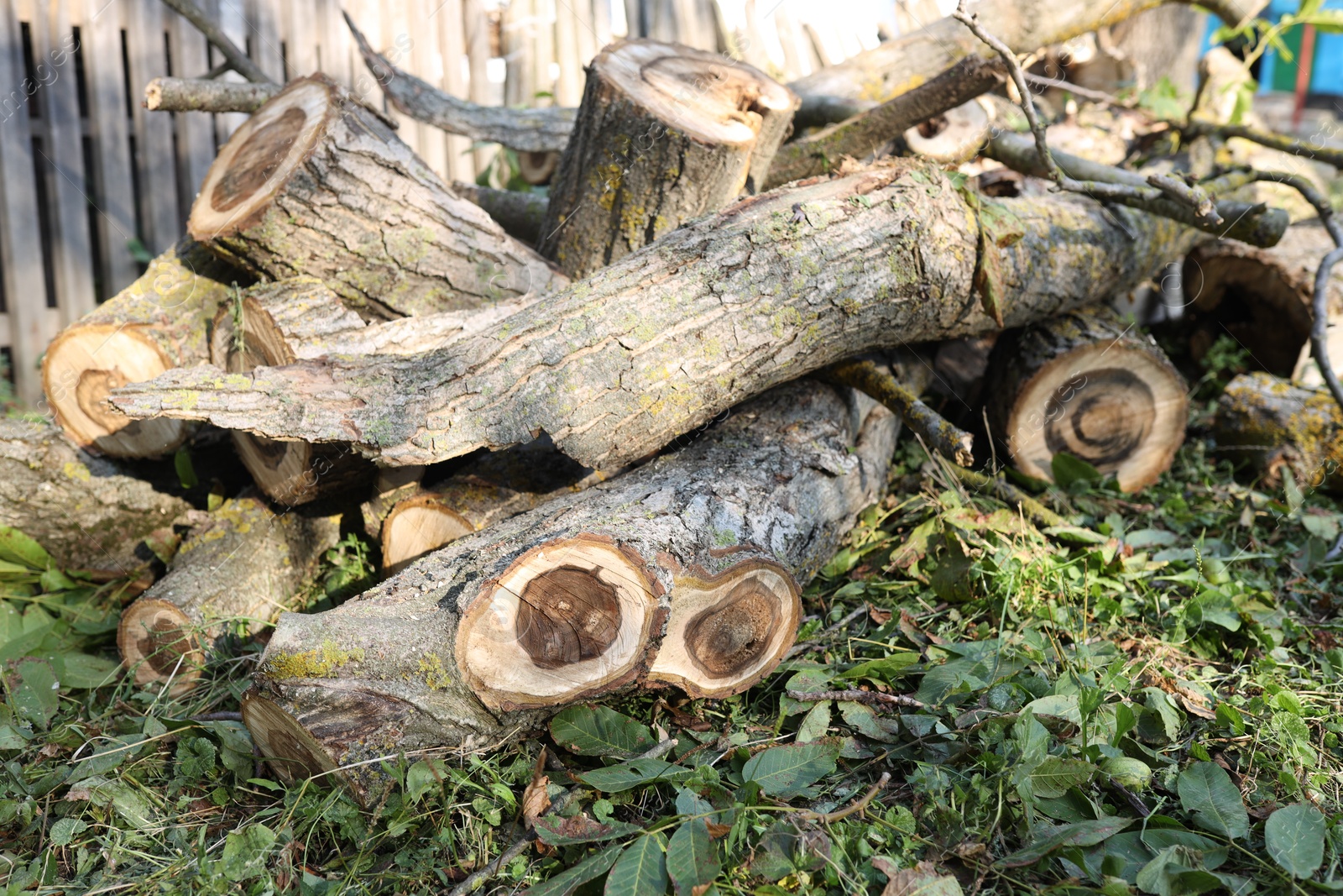 Photo of Pile of cut firewood in yard, closeup