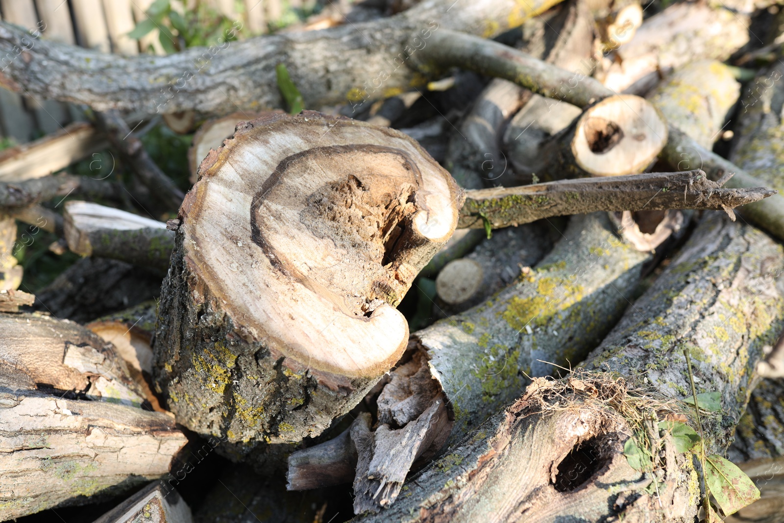 Photo of Pile of cut firewood in yard, closeup
