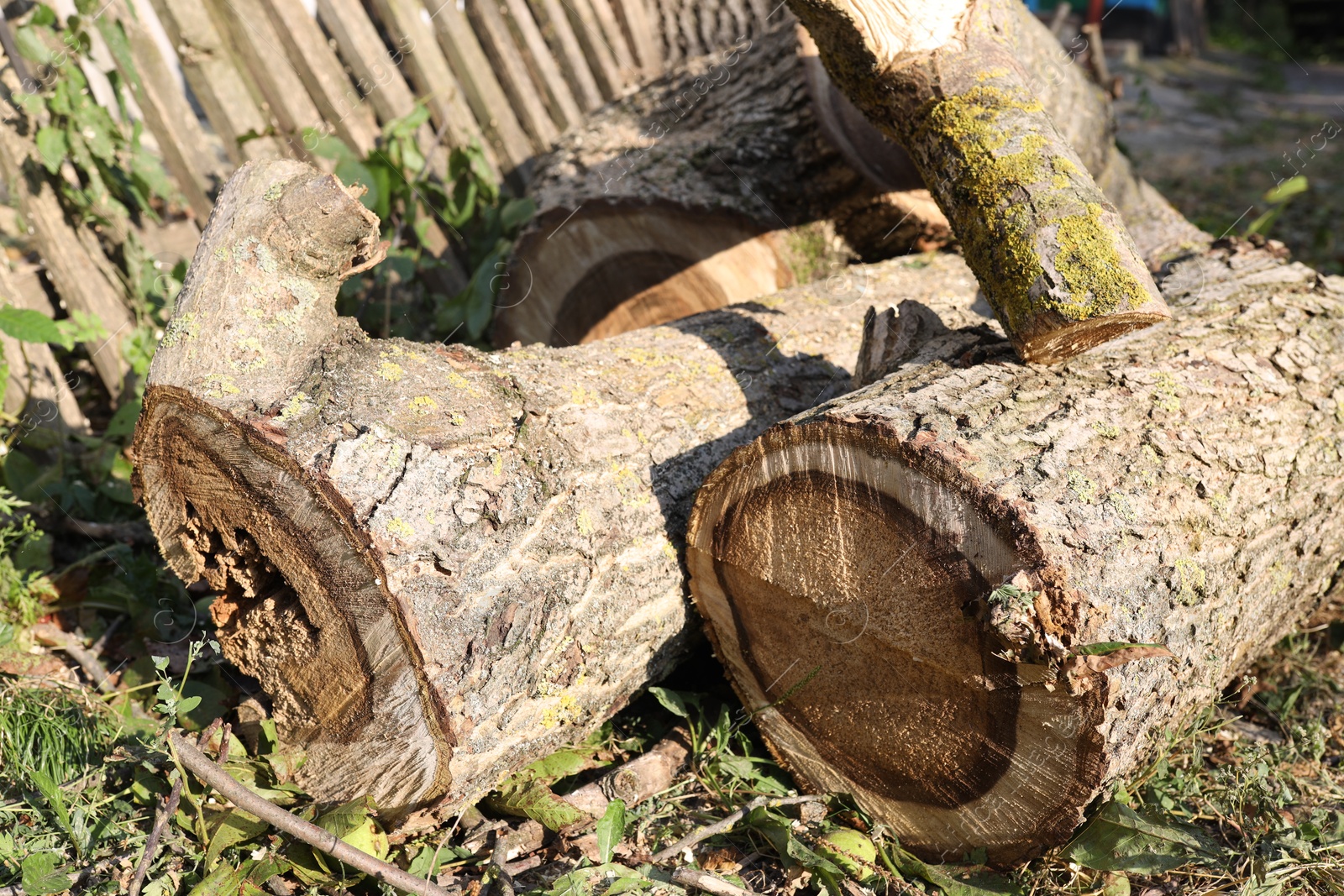 Photo of Pile of cut firewood in yard, closeup
