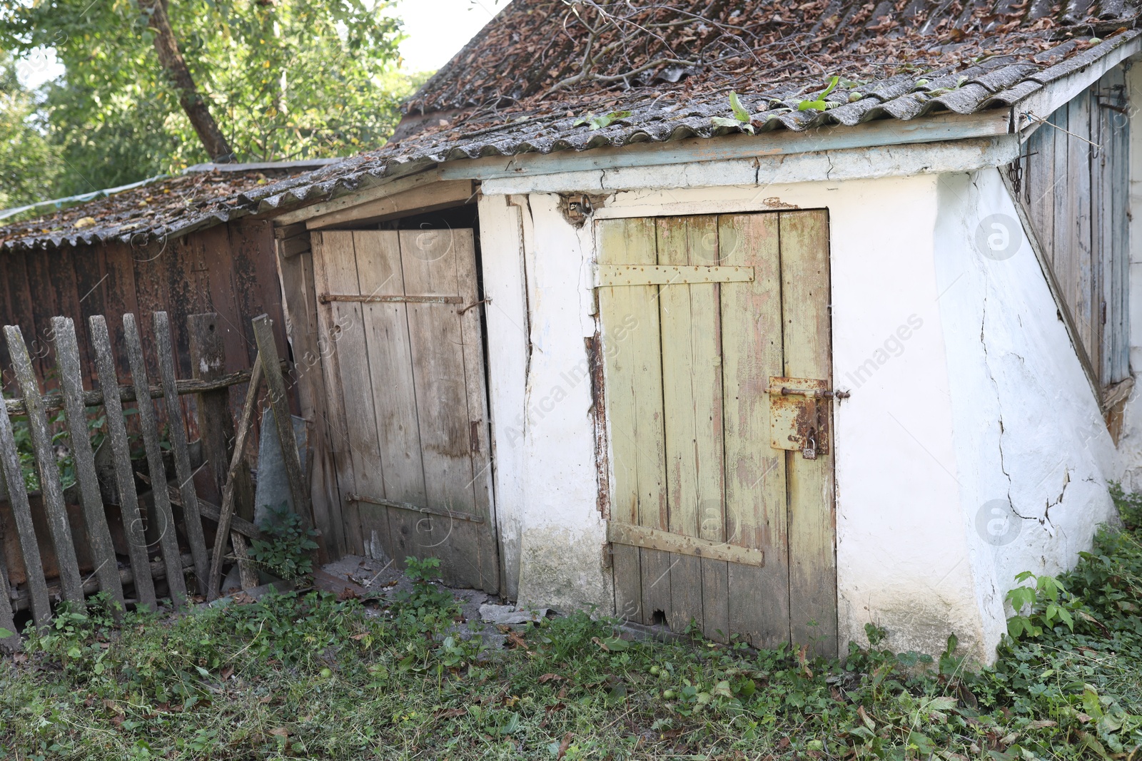 Photo of Old shed and wooden fence in yard