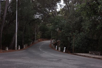 Photo of Beautiful trees growing alongside empty asphalt road