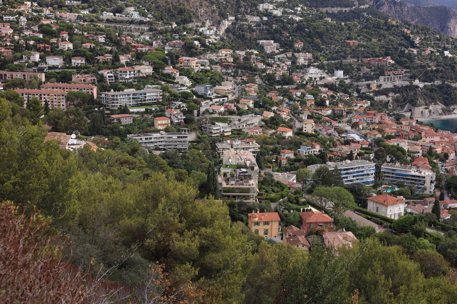 Photo of Picturesque view of city with buildings and trees in mountains