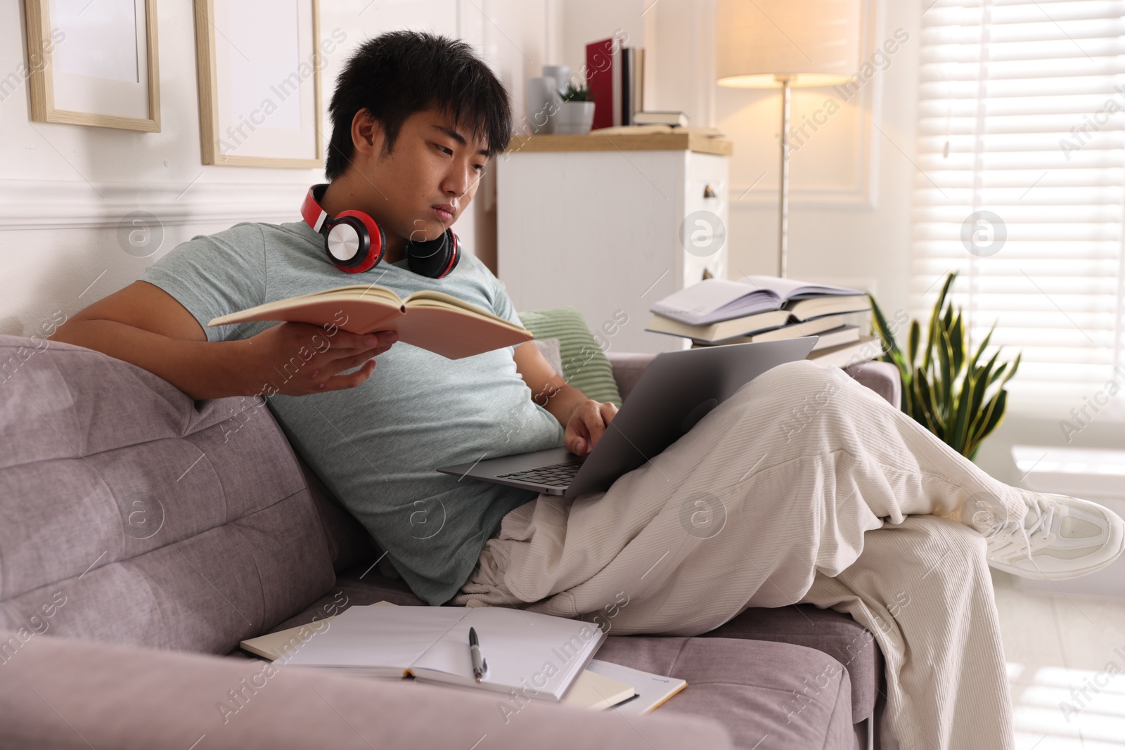 Photo of Student with laptop and books preparing for exam on sofa at home