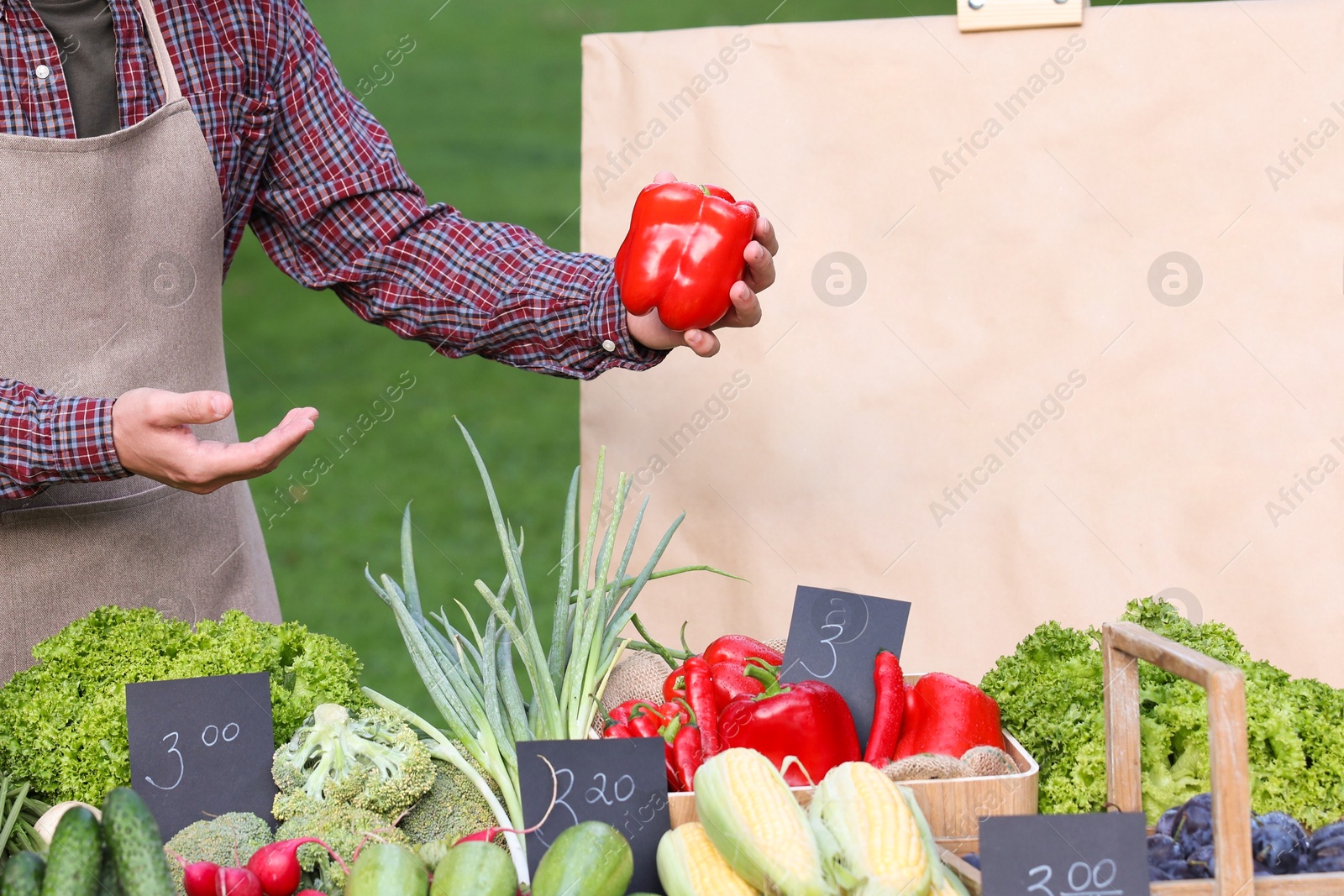 Photo of Farmer near stall with different fresh vegetables at market, closeup
