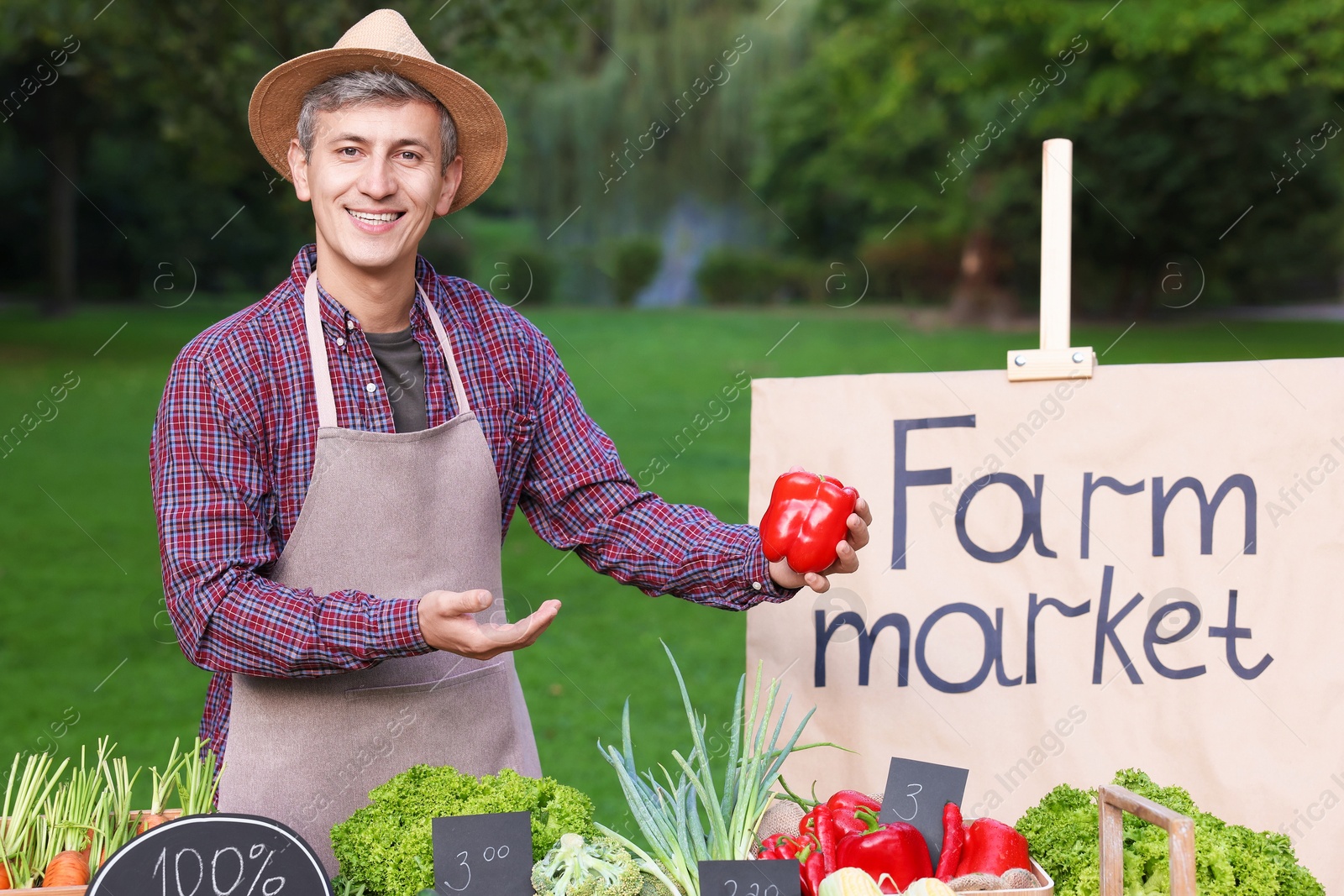 Photo of Happy farmer near stall with different fresh vegetables at market