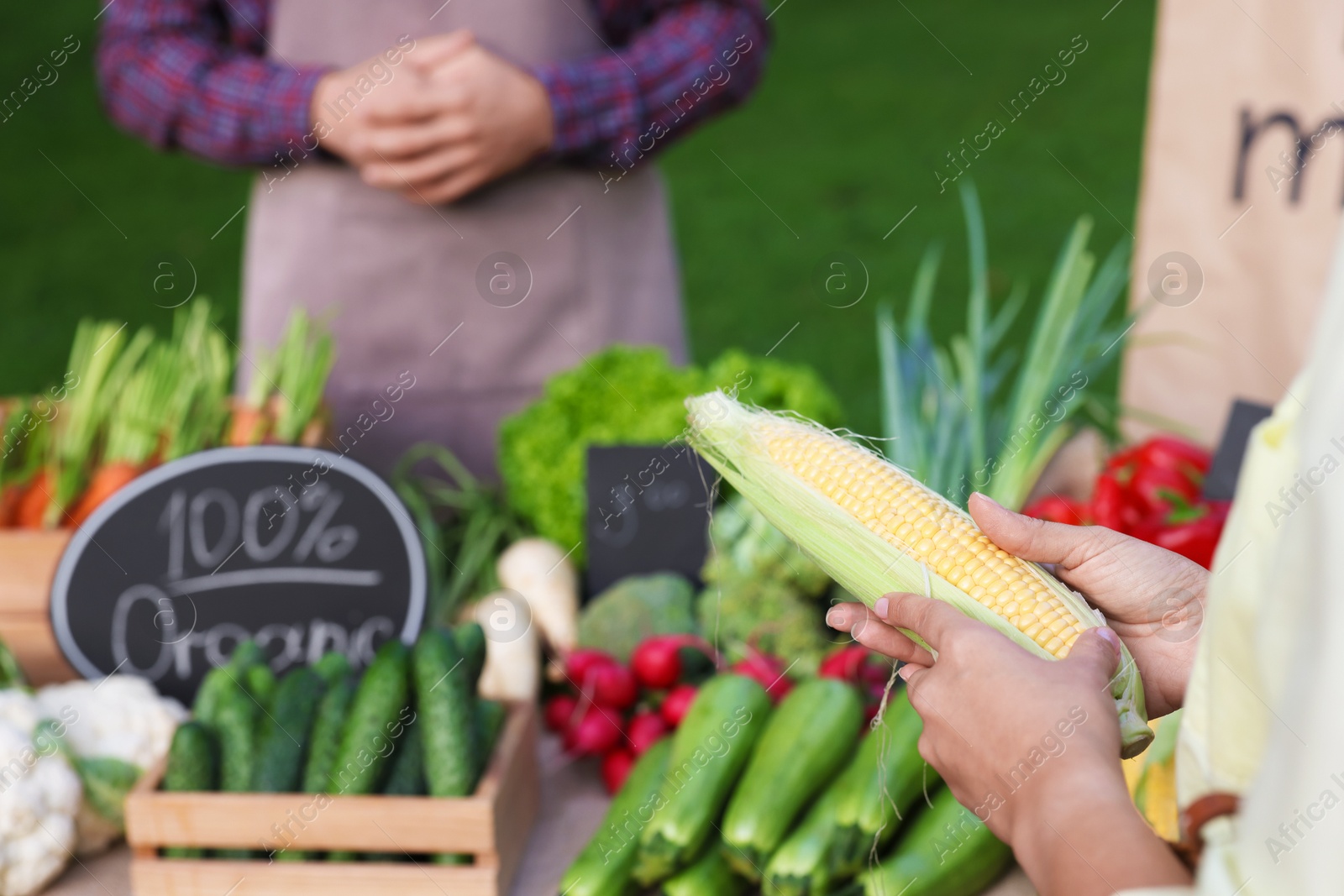 Photo of Woman choosing fresh vegetables from stall at farmer's market, closeup