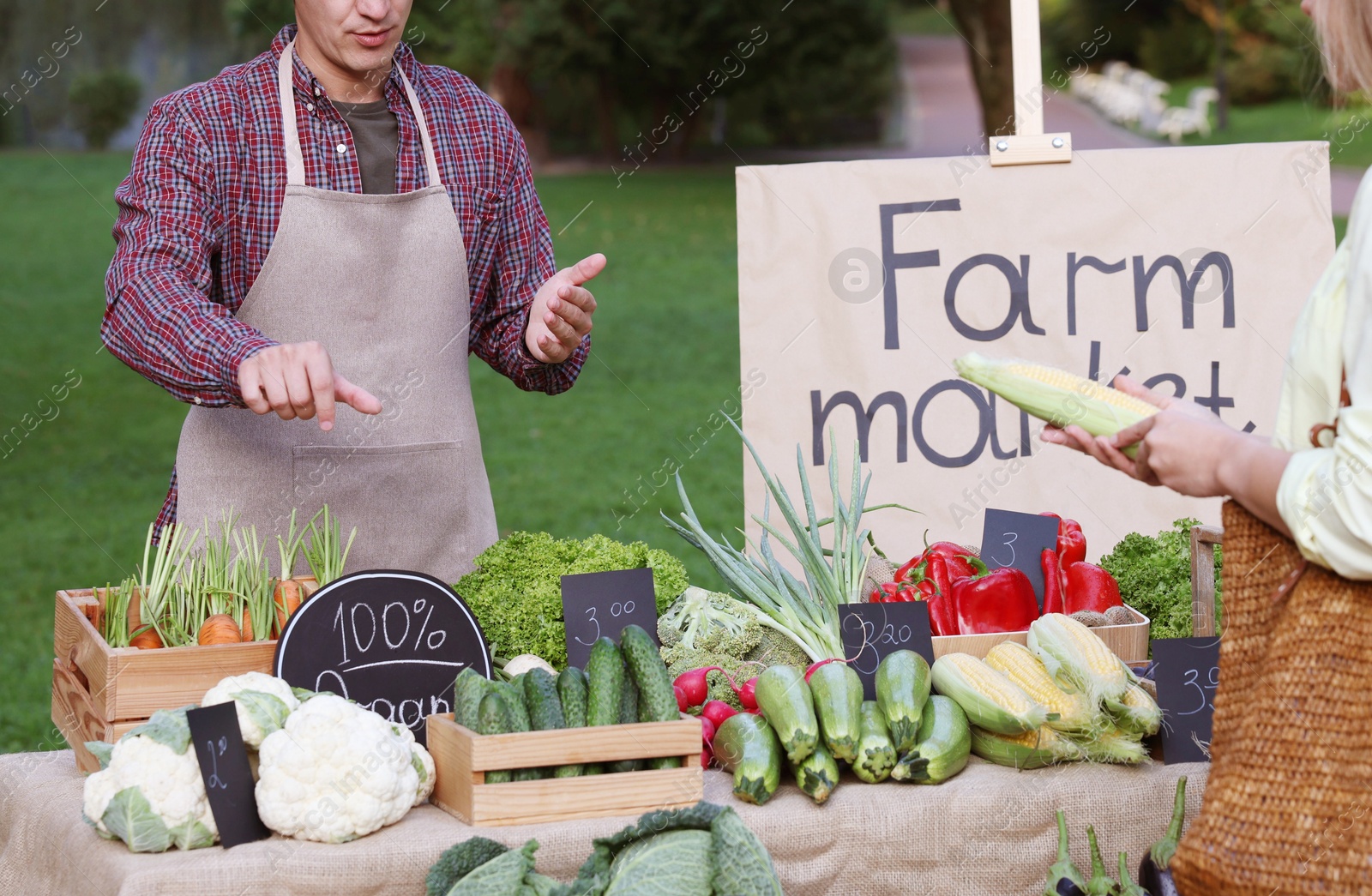 Photo of Woman choosing fresh vegetables from stall at farmer's market, closeup
