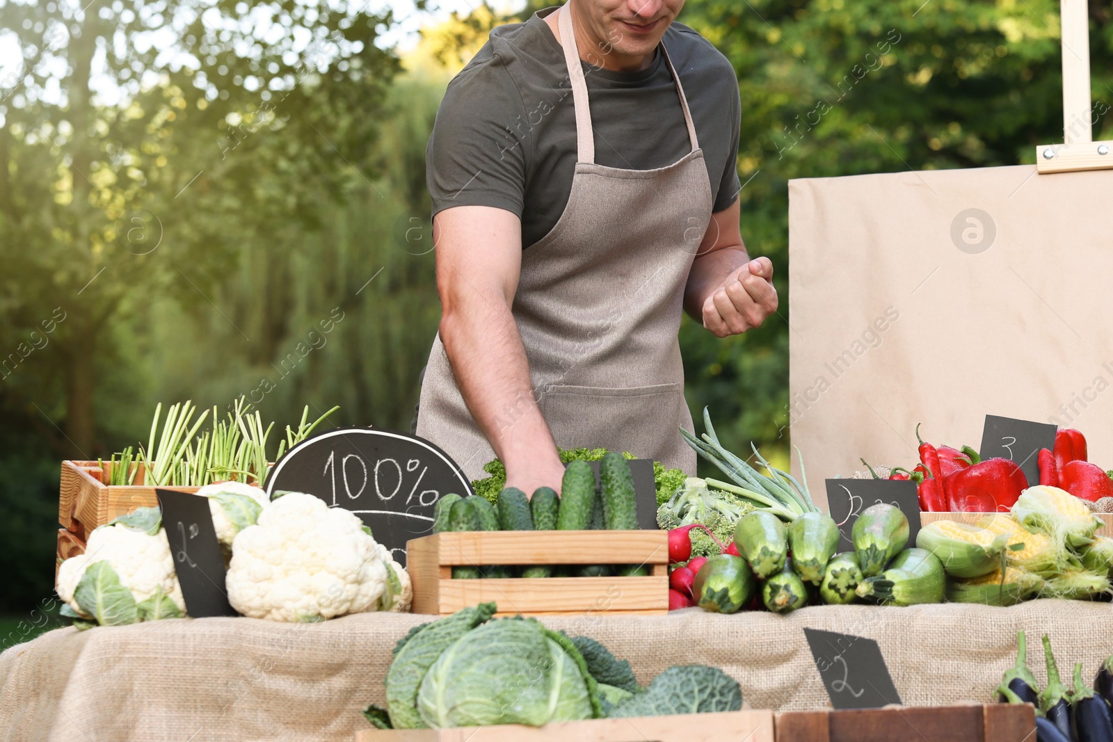 Photo of Farmer near stall with different fresh vegetables at market, closeup