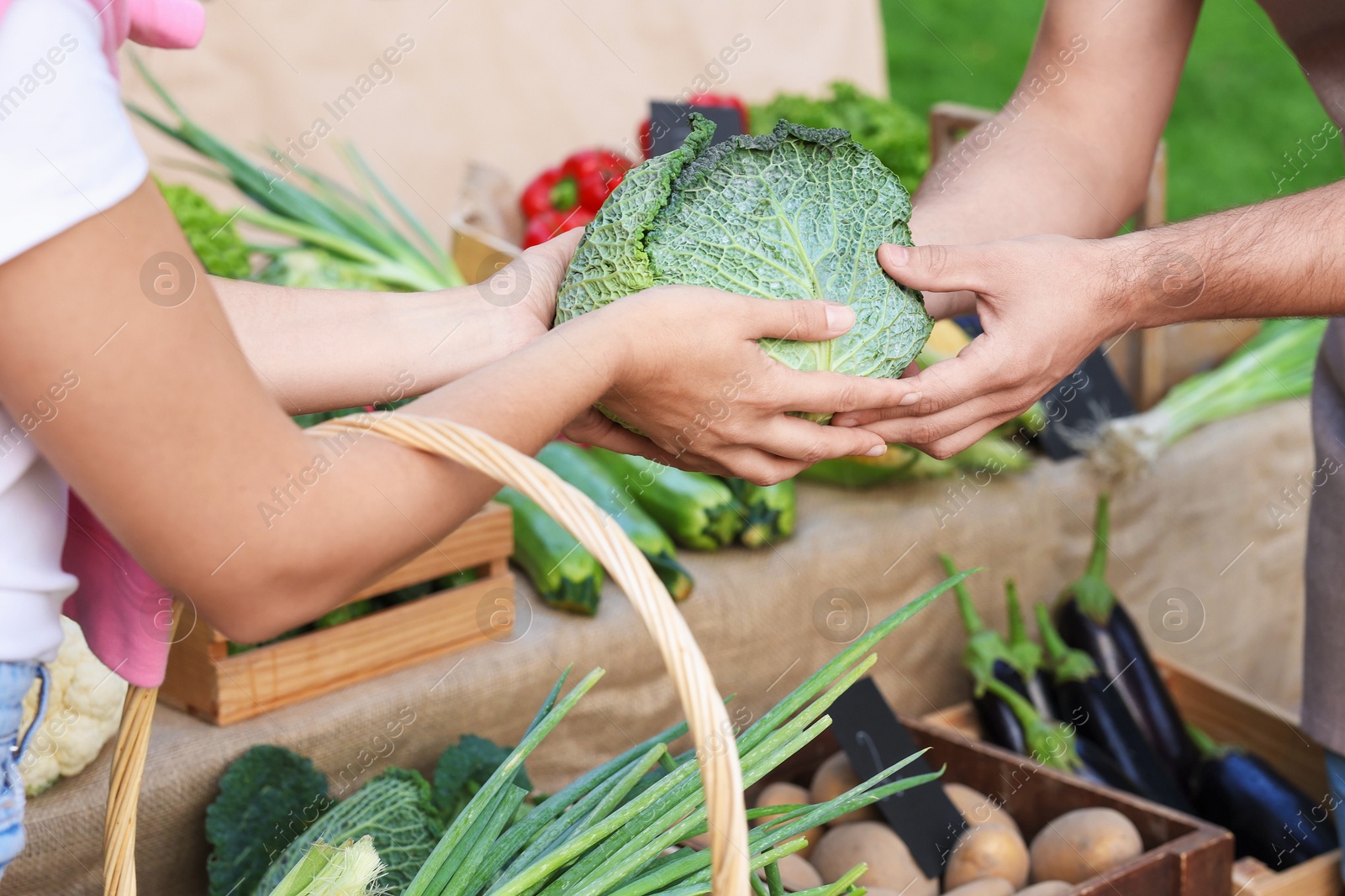 Photo of Woman choosing fresh vegetables from stall at farmer's market, closeup