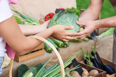 Photo of Woman choosing fresh vegetables from stall at farmer's market, closeup