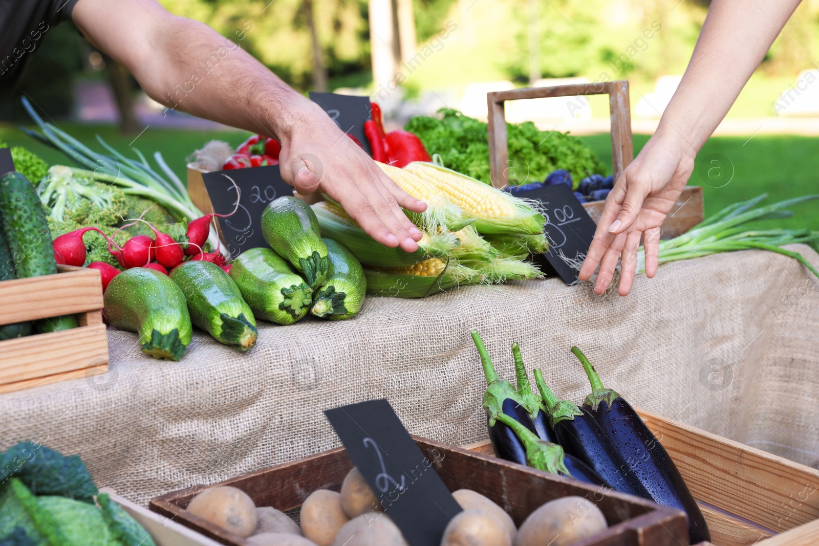 Photo of Woman choosing fresh vegetables from stall at farmer's market, closeup