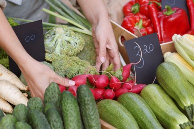 Photo of Farmer near stall with different fresh vegetables at market, closeup