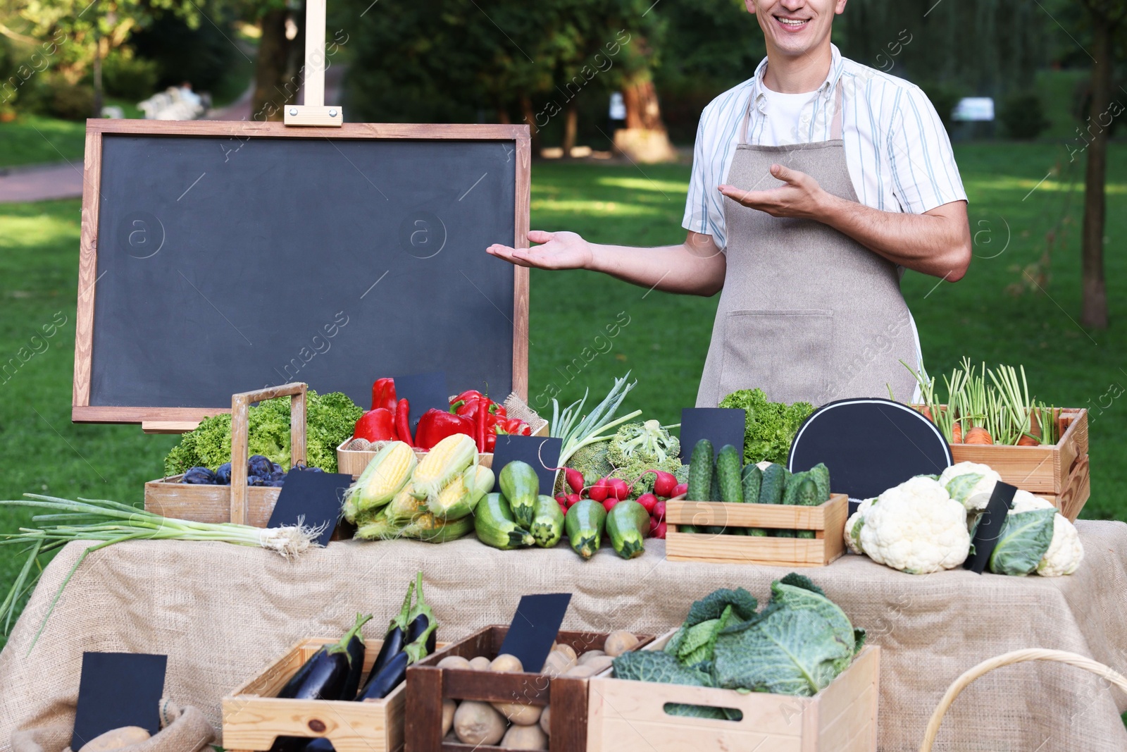 Photo of Farmer near stall with different fresh vegetables at market, closeup