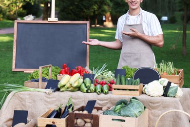 Photo of Farmer near stall with different fresh vegetables at market, closeup