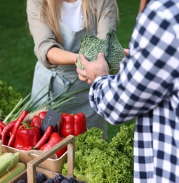 Photo of Man choosing fresh vegetables from stall at farmer's market, closeup