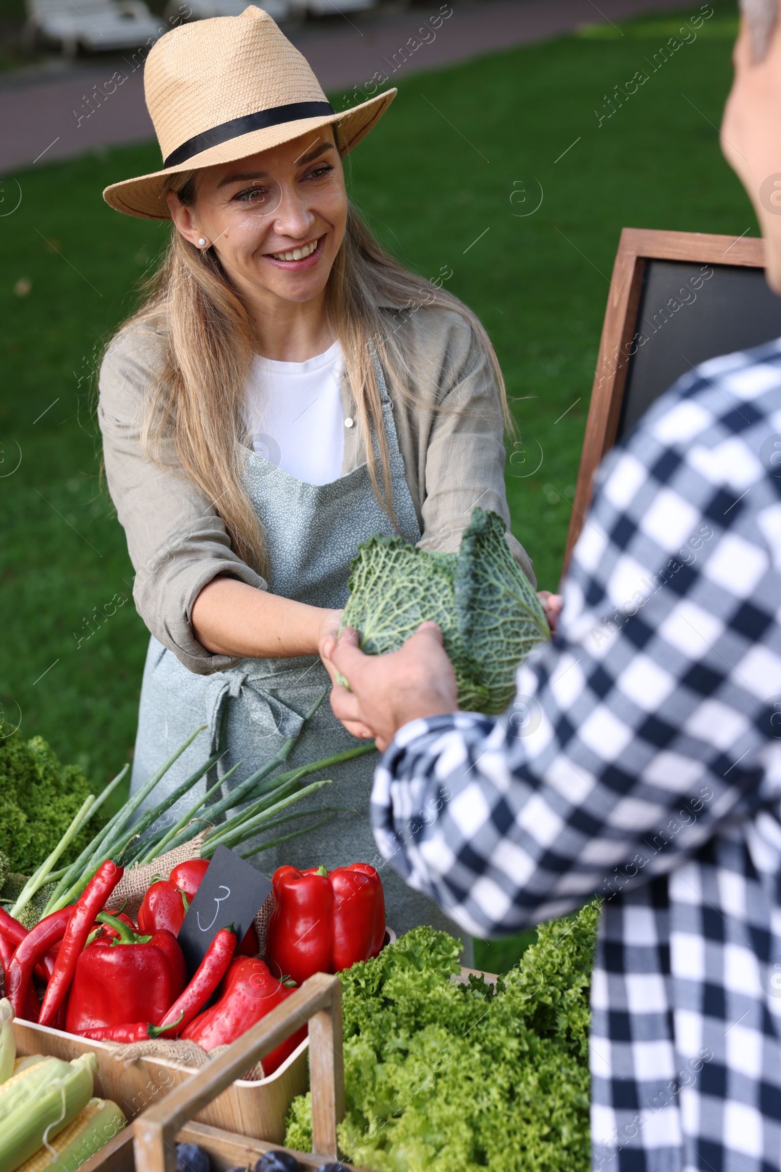 Photo of Man choosing fresh vegetables from stall at farmer's market, closeup