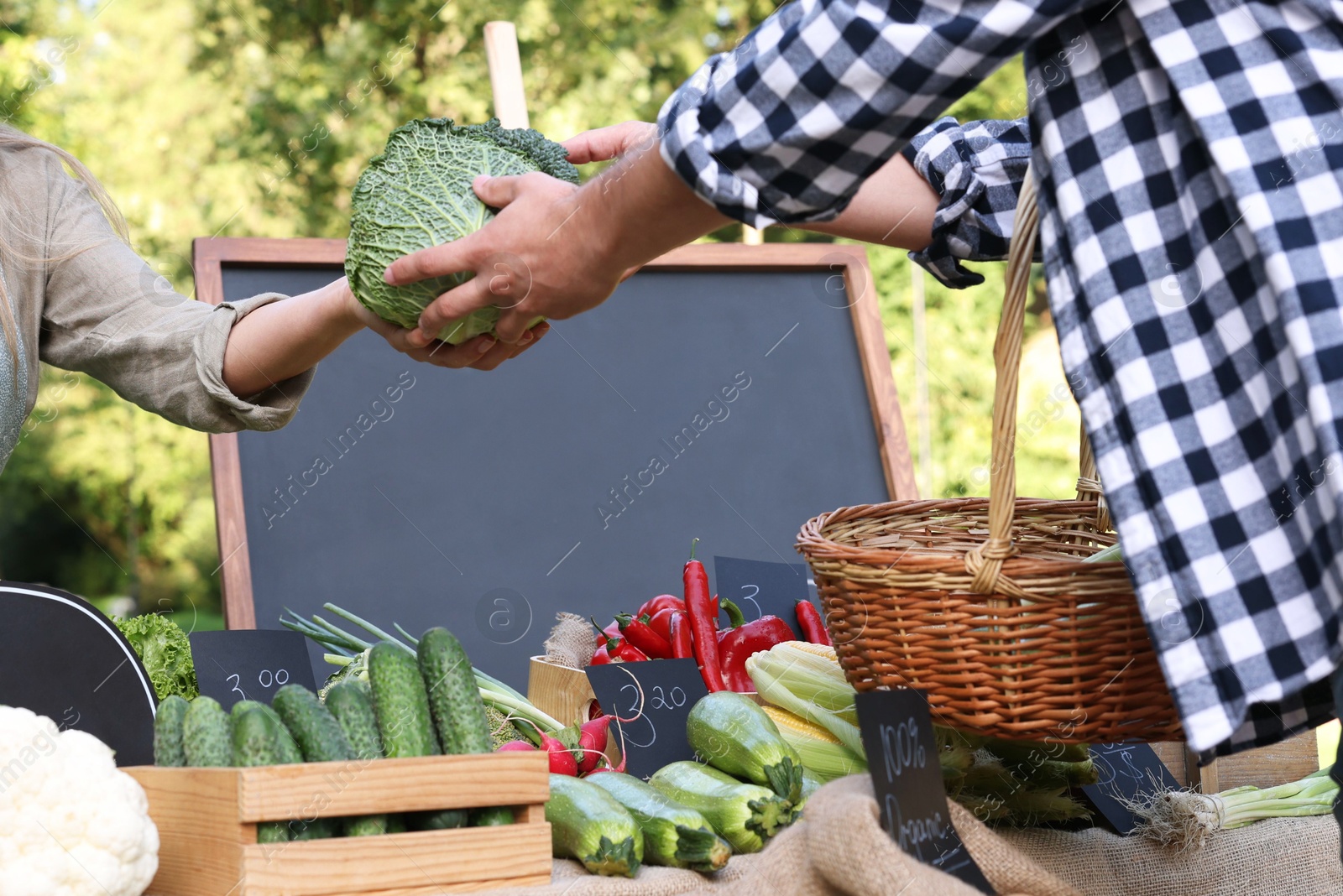 Photo of Man choosing fresh vegetables from stall at farmer's market, closeup